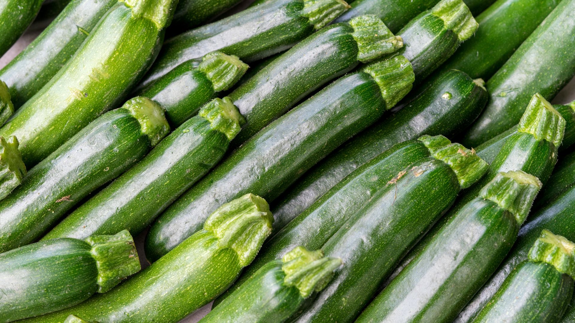 Too Much Zucchini? Smart Ways to Tackle Your Abundant Harvest